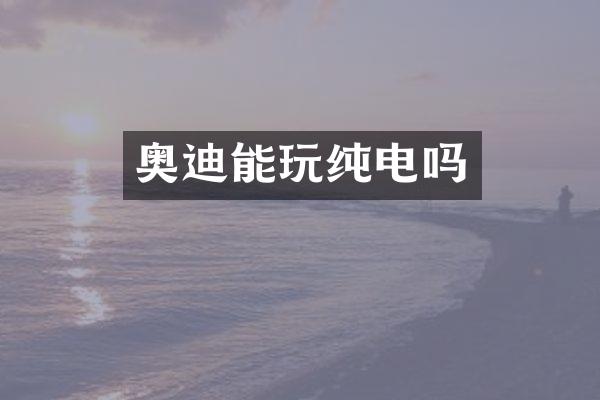 奥迪能玩纯电吗