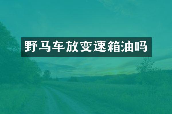 野马车放变速箱油吗