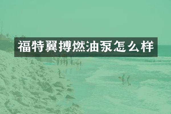 福特翼搏燃油泵怎么样