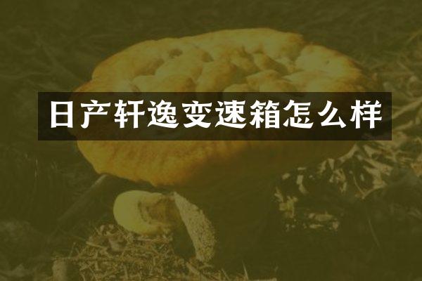 日产轩逸变速箱怎么样