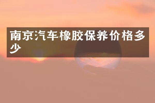 南京汽车橡胶保养价格多少