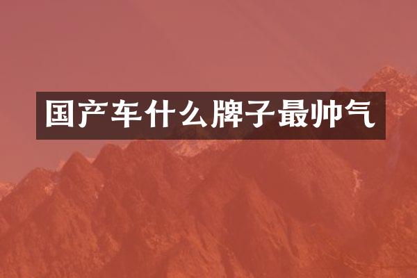 国产车什么牌子最帅气