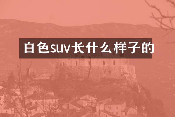 白色suv长什么样子的
