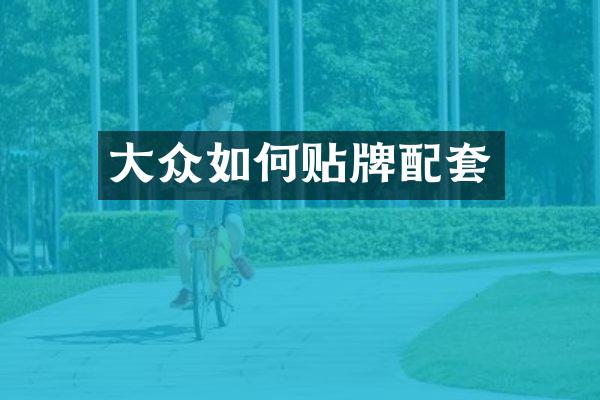 大众如何贴牌配套