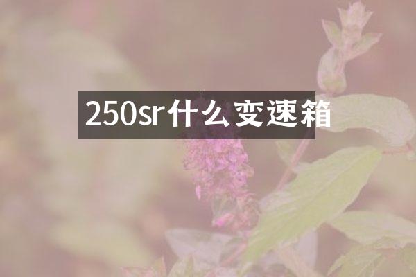 250sr什么变速箱