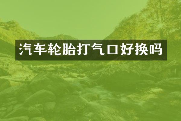 汽车轮胎打气口好换吗