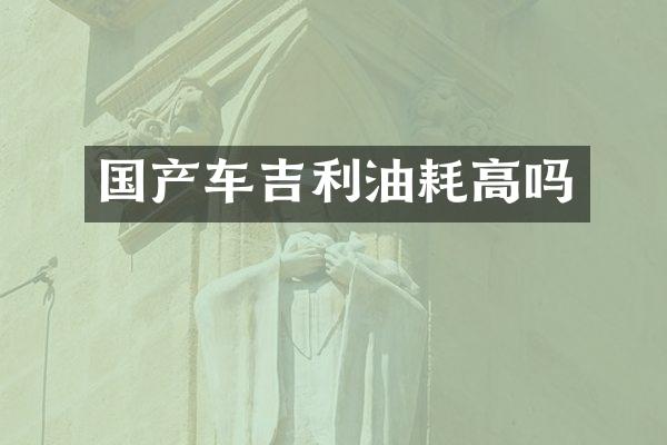 国产车吉利油耗高吗