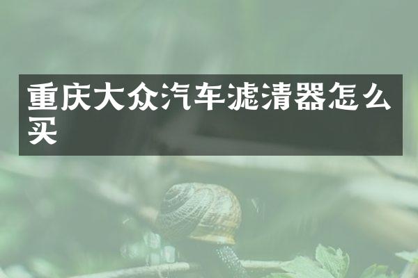 重庆大众汽车滤清器怎么买