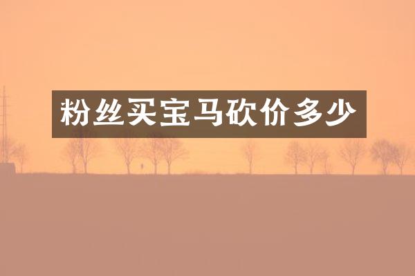 粉丝买宝马砍价多少