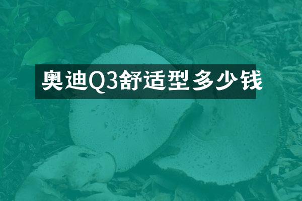 奥迪Q3舒适型多少钱