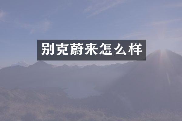 别克蔚来怎么样