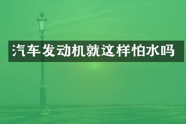 汽车发动机就这样怕水吗