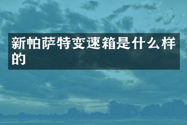 新帕萨特变速箱是什么样的
