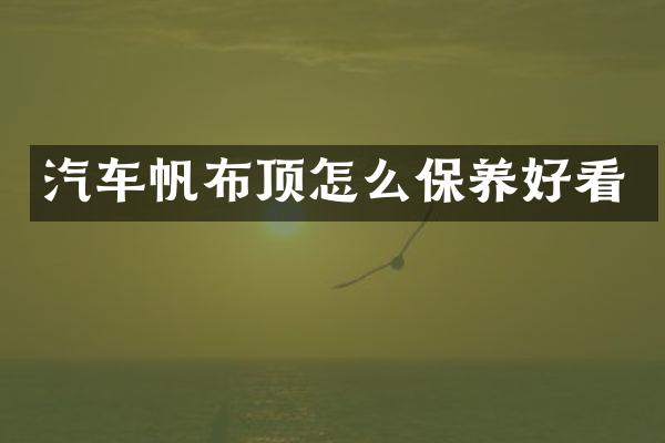 汽车帆布顶怎么保养好看