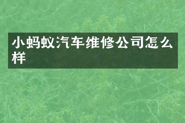 小蚂蚁汽车维修公司怎么样