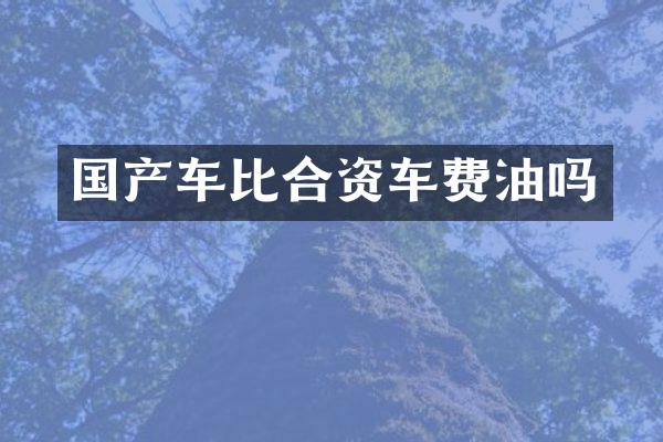 国产车比合资车费油吗