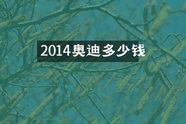 2014奥迪多少钱