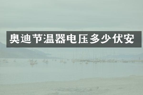 奥迪节温器电压多少伏安