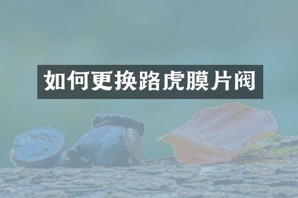 如何更换路虎膜片阀