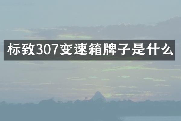 标致307变速箱牌子是什么