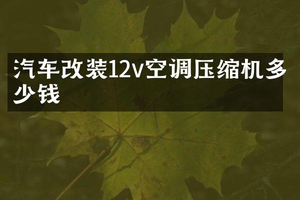 汽车改装12v空调压缩机多少钱
