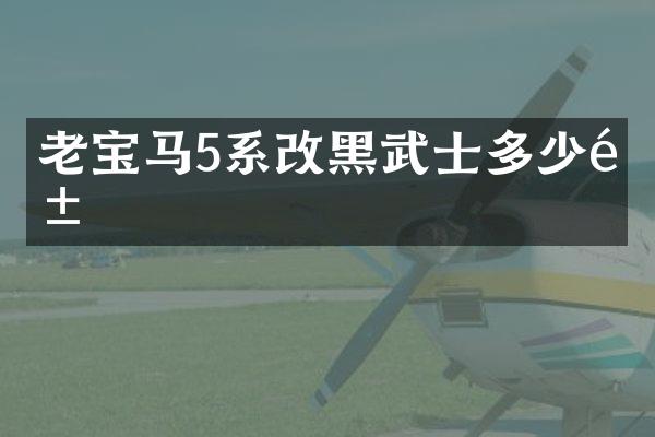 老宝马5系改黑武士多少钱