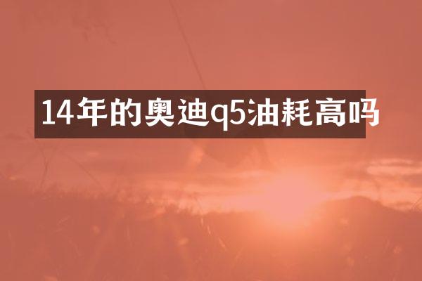 14年的奥迪q5油耗高吗