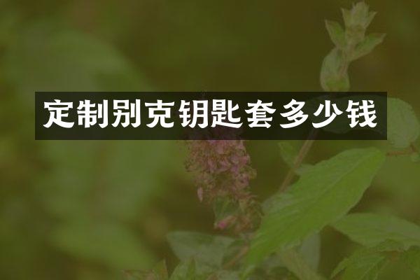 定制别克钥匙套多少钱