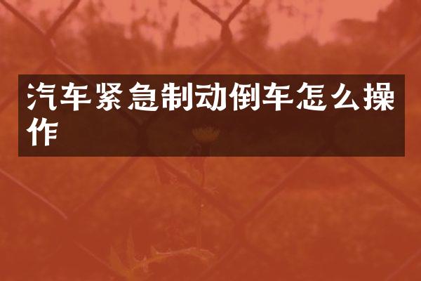 汽车紧急制动倒车怎么操作