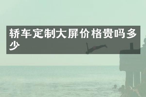 轿车定制大屏价格贵吗多少