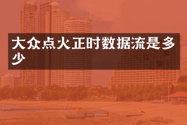 大众点火正时数据流是多少