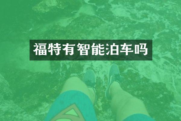 福特有智能泊车吗