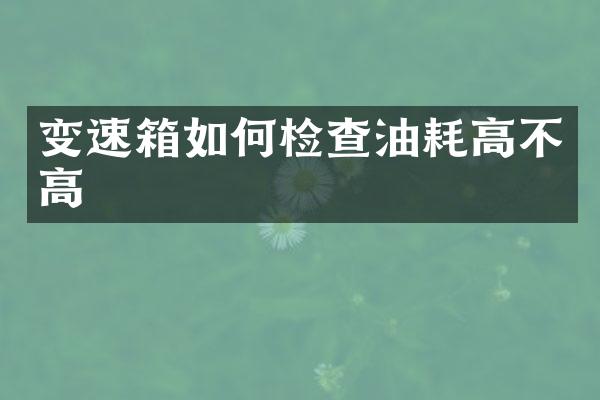 变速箱如何检查油耗高不高