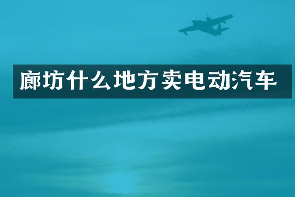 廊坊什么地方卖电动汽车