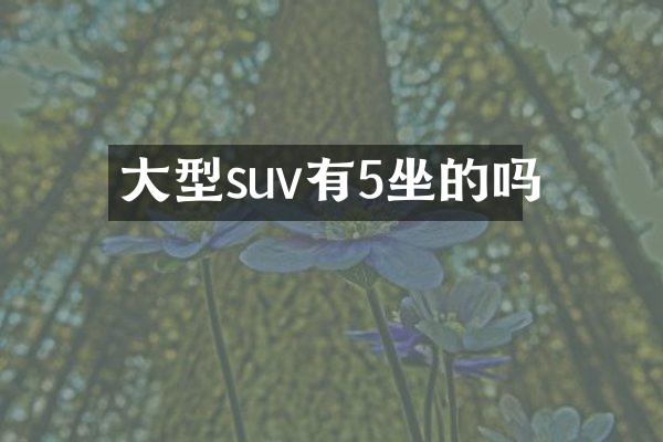 大型suv有5坐的吗