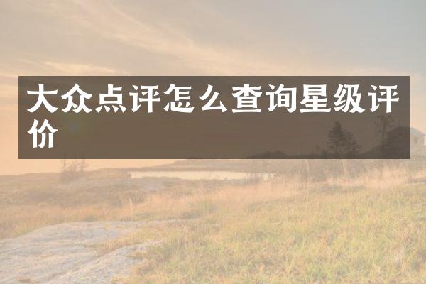 大众点评怎么查询星级评价