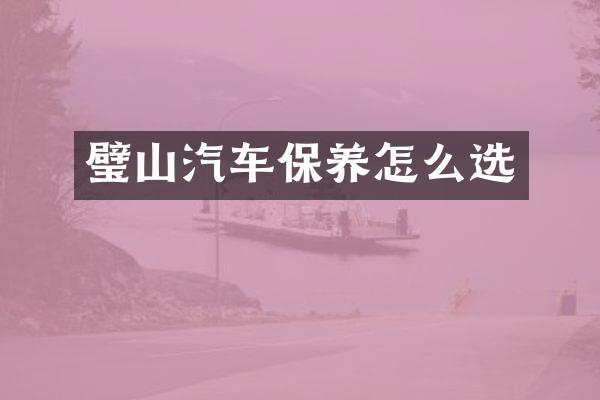 璧山汽车保养怎么选