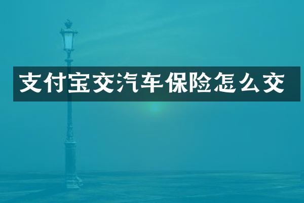 支付宝交汽车保险怎么交