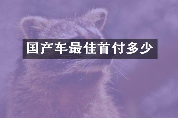 国产车最佳首付多少