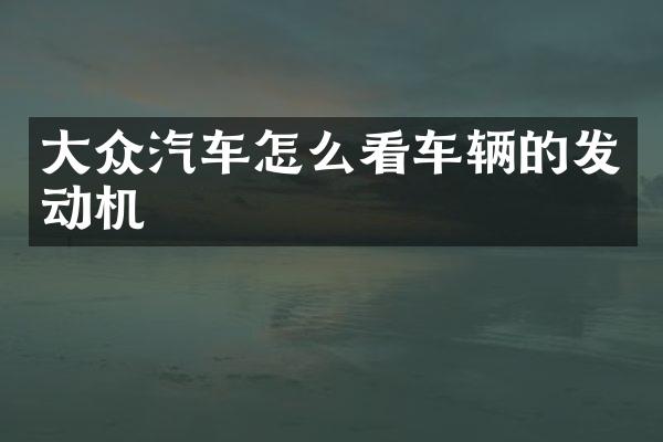 大众汽车怎么看车辆的发动机