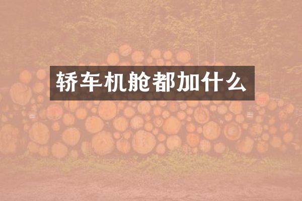 轿车机舱都加什么