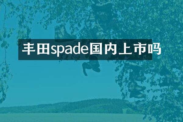 丰田spade国内上市吗