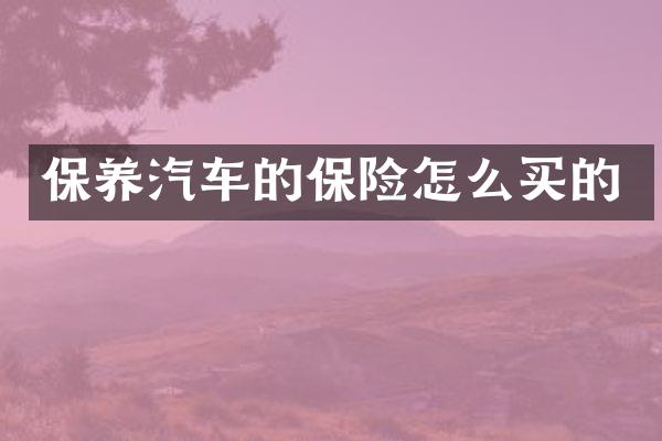 保养汽车的保险怎么买的