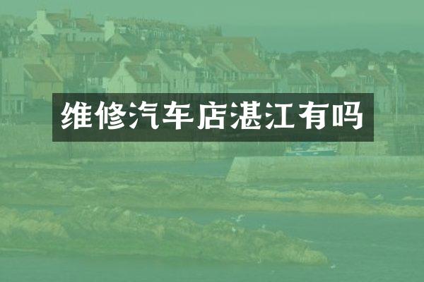 维修汽车店湛江有吗