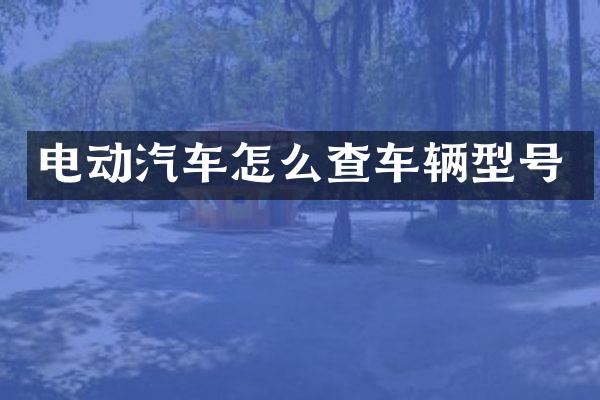电动汽车怎么查车辆型号