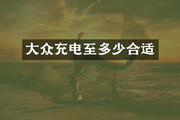 大众充电至多少合适