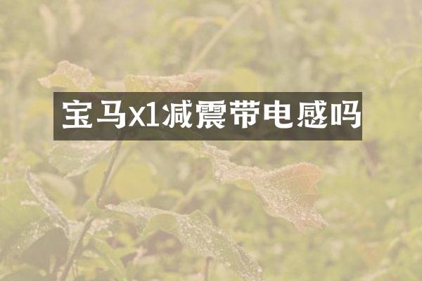 宝马x1减震带电感吗