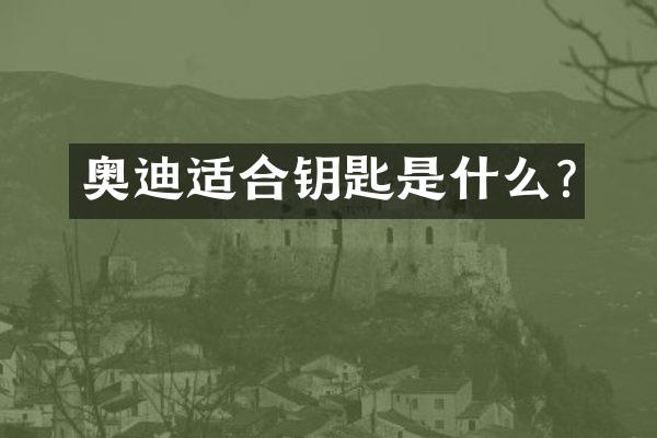 奥迪适合钥匙是什么?