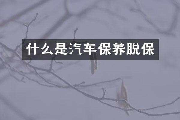 什么是汽车保养脱保