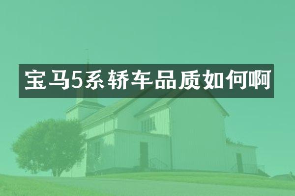 宝马5系轿车品质如何啊